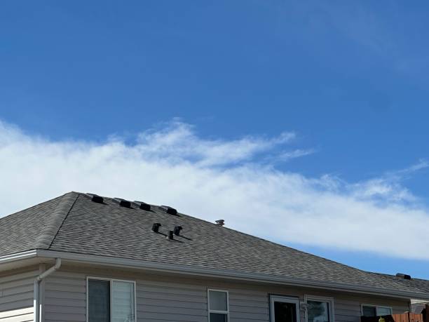 Best Hot Roofs  in Little Ferry, NJ